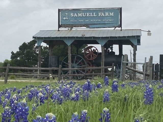 samuell farm mesquite.png