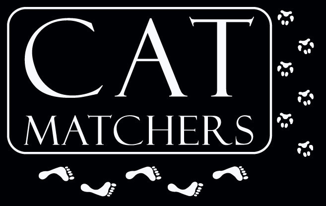 cat matchers.jpg