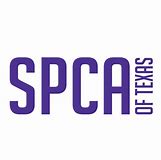 spca.jpg