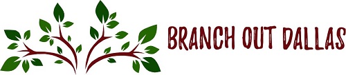 2018 Branch Out Dallas_OriginalFont - Horizontal Logo_Smaller 500x100.jpg