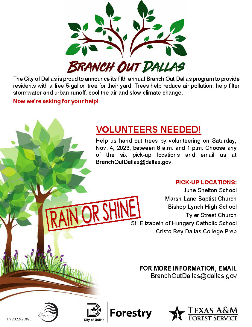 BranchOutDallasVolunteer2023_English.jpg