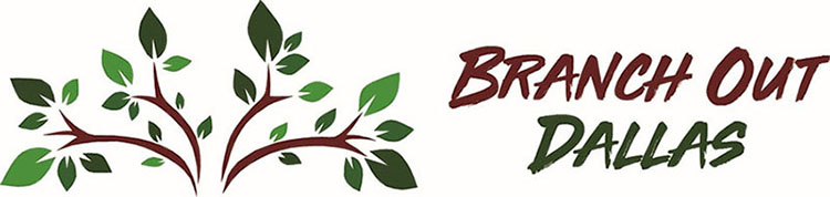Branch Out Dallas logo COLOR Horz.jpg