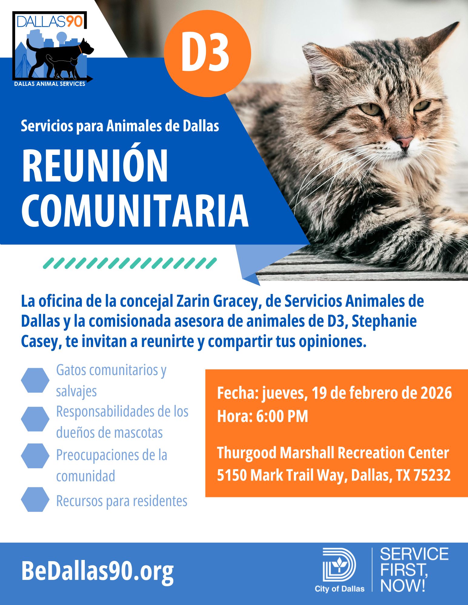 D3 Community Cat Town Hall January 2026 SPANISH.jpg