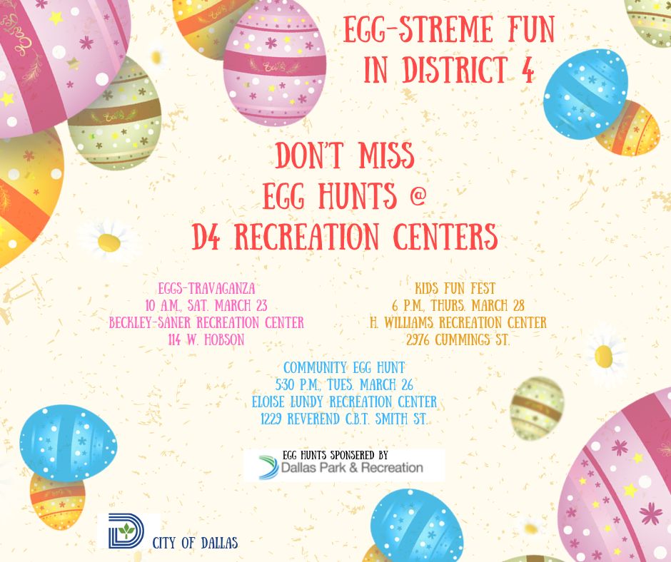 D4 Egg-streme fun (1).jpg